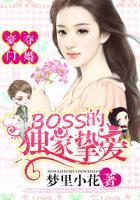 豪门boss天价妻原著