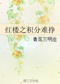 红楼之攻略